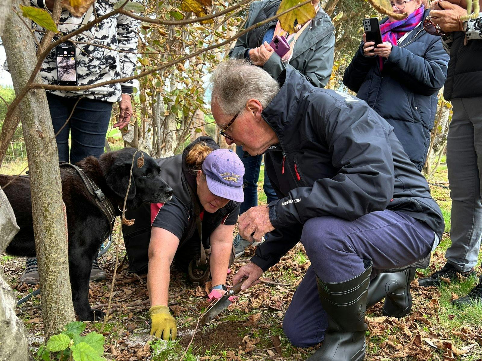 Truffle hunting