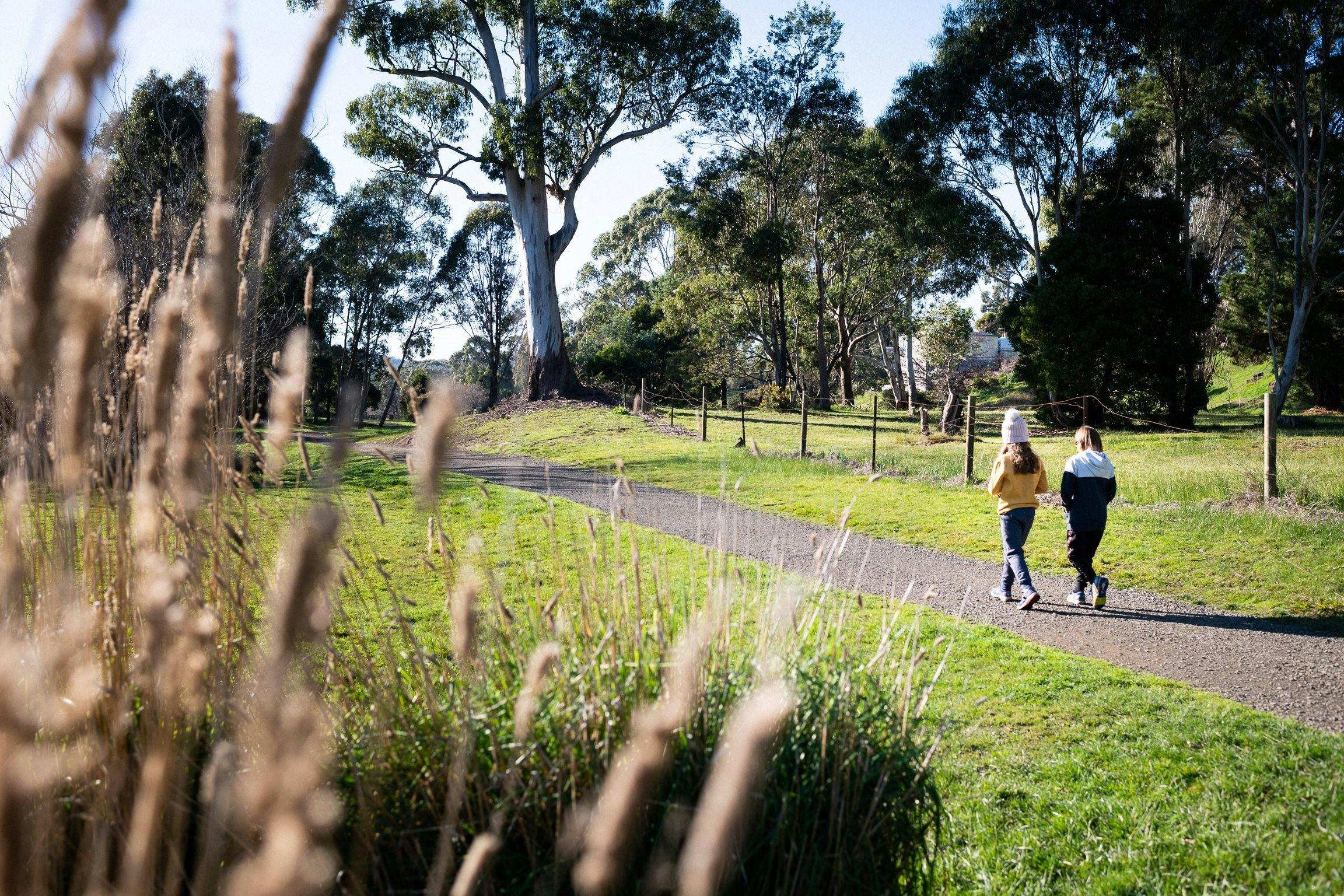 Children walking along Hadspen Riverbank