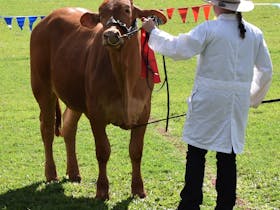 Annual Atherton Agricultural Show Cover Image