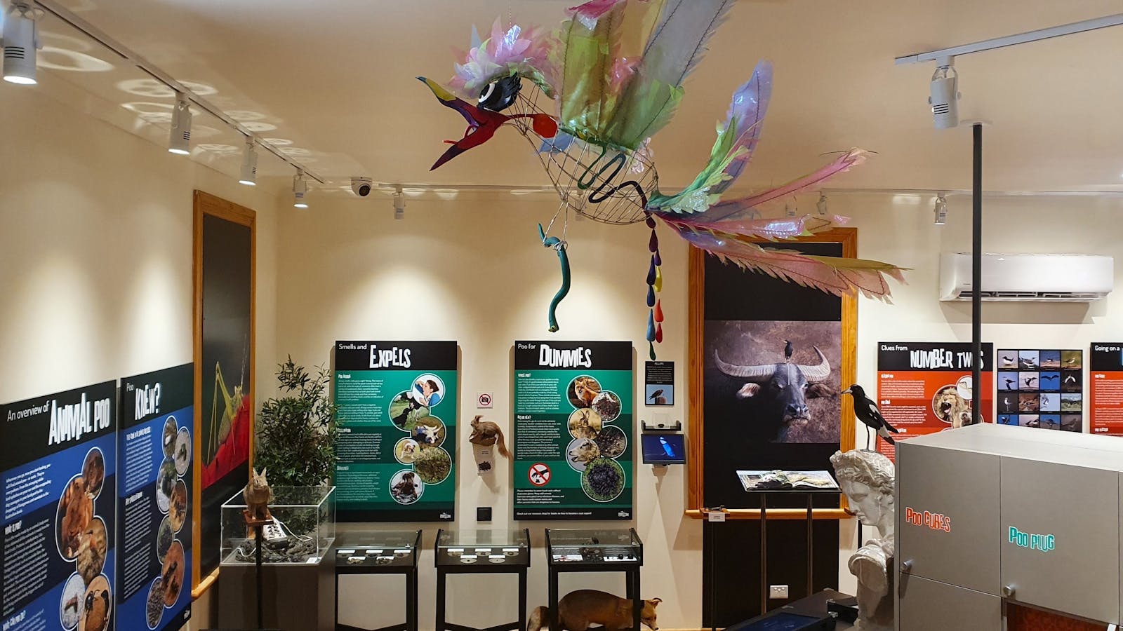 Pooseum exhibition room