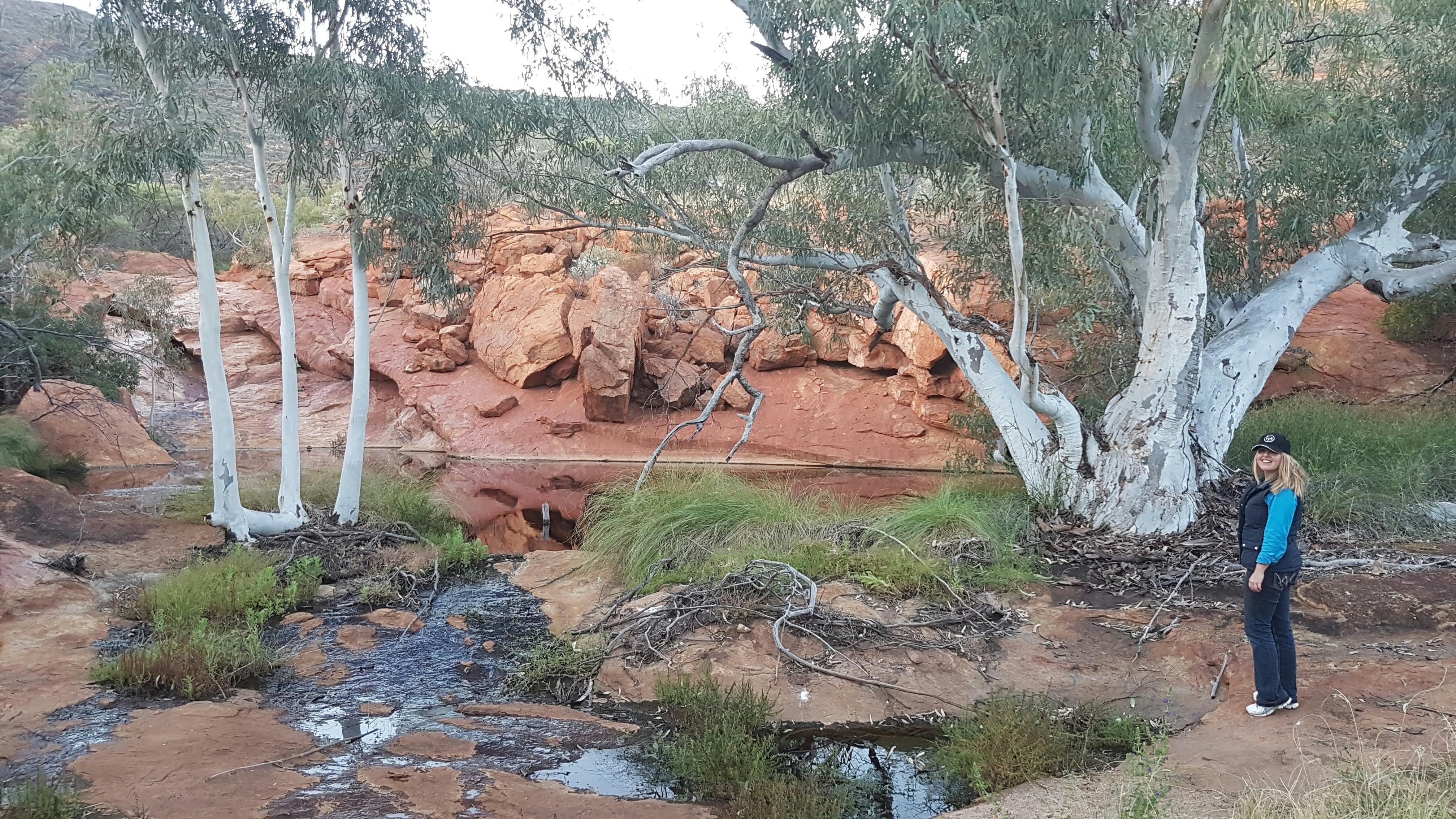 Mt Augustus Tour