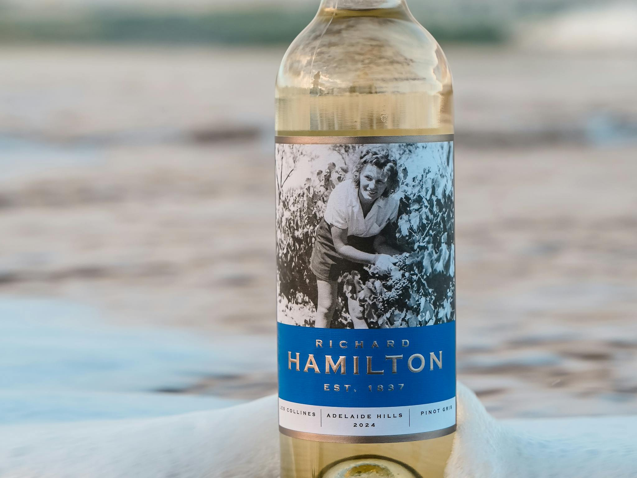 Richard Hamilton Wines Cellar Door | McLaren Vale