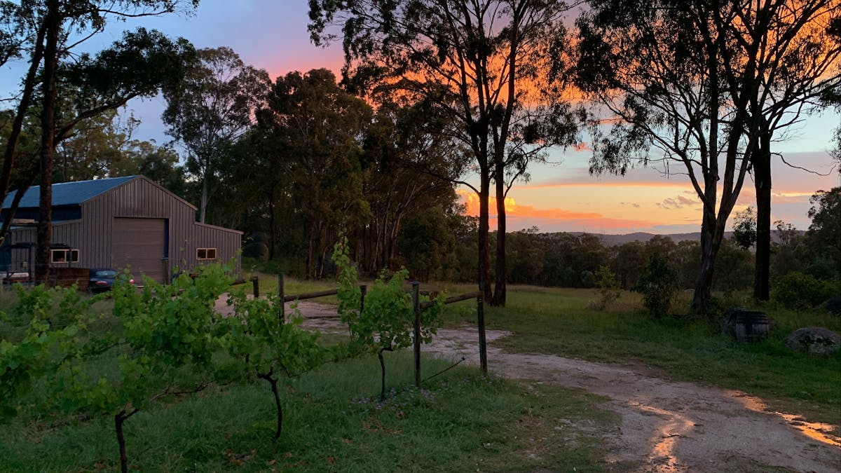 Sunset overlooking the winery