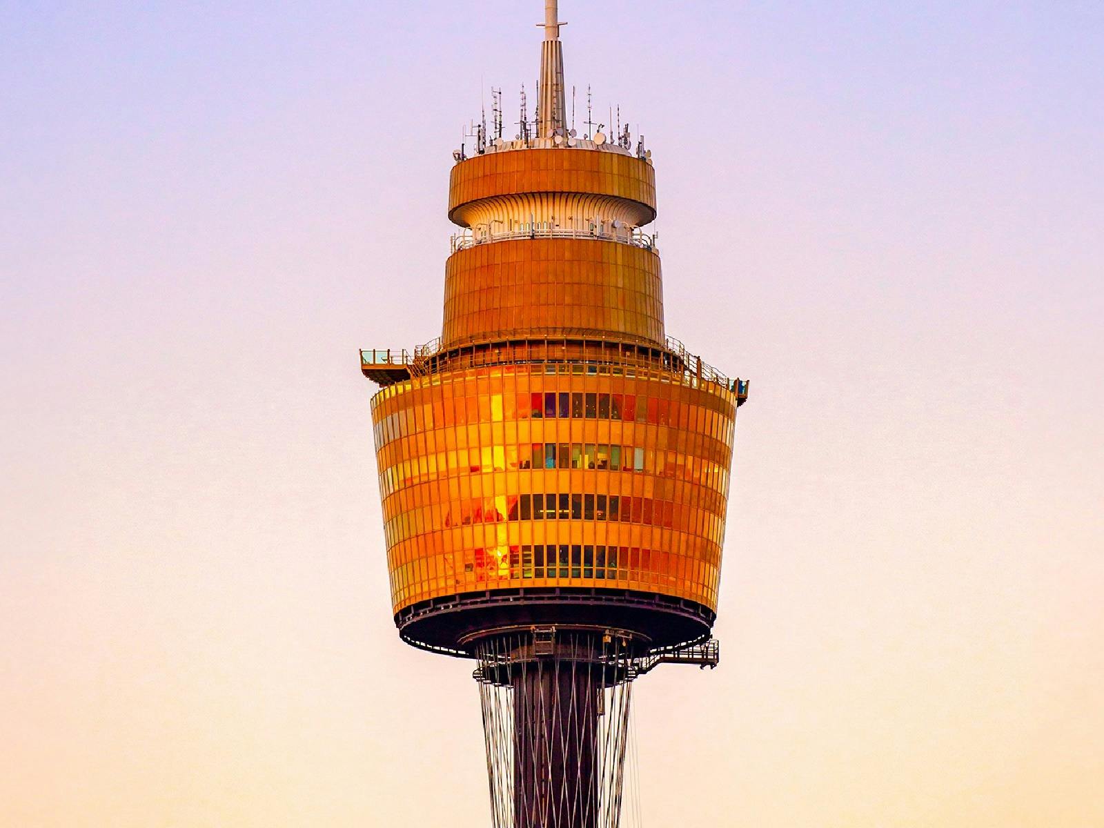 The Sydney Tower Eye at dusk