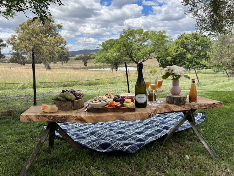 Relaxing picnics