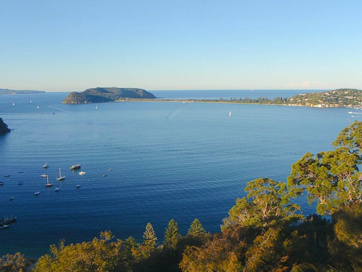 The Basin track and Mackerel track, Ku-ring-gai Chase National Park. Photo: Andrew Richards