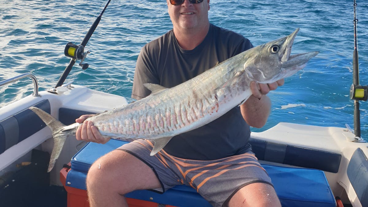 Spanish Mackerel