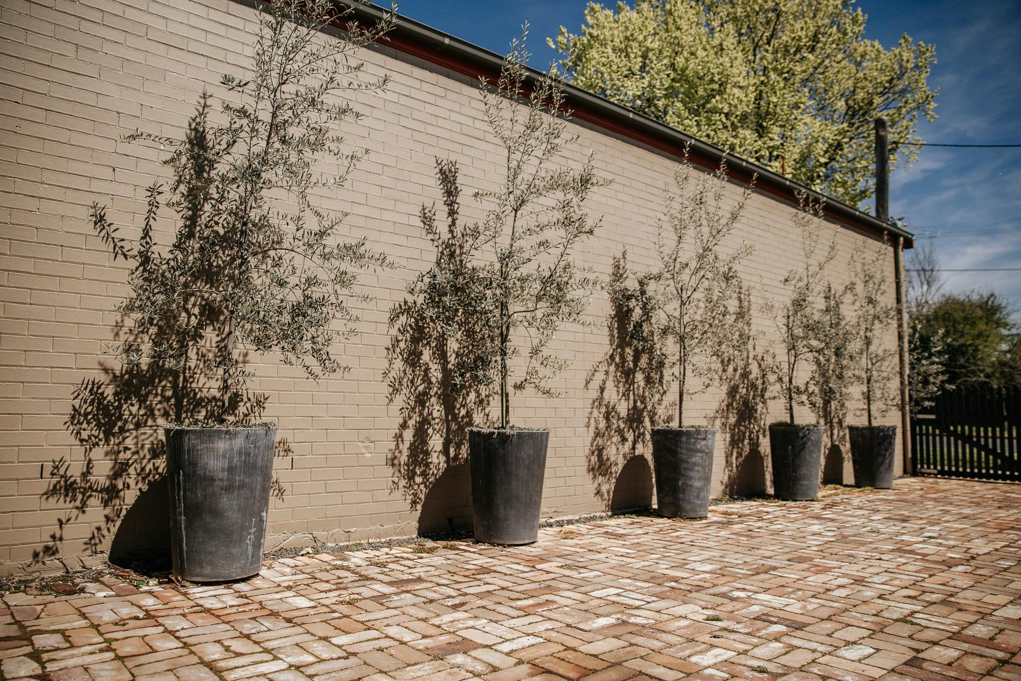 Olive Cottage on Rankin