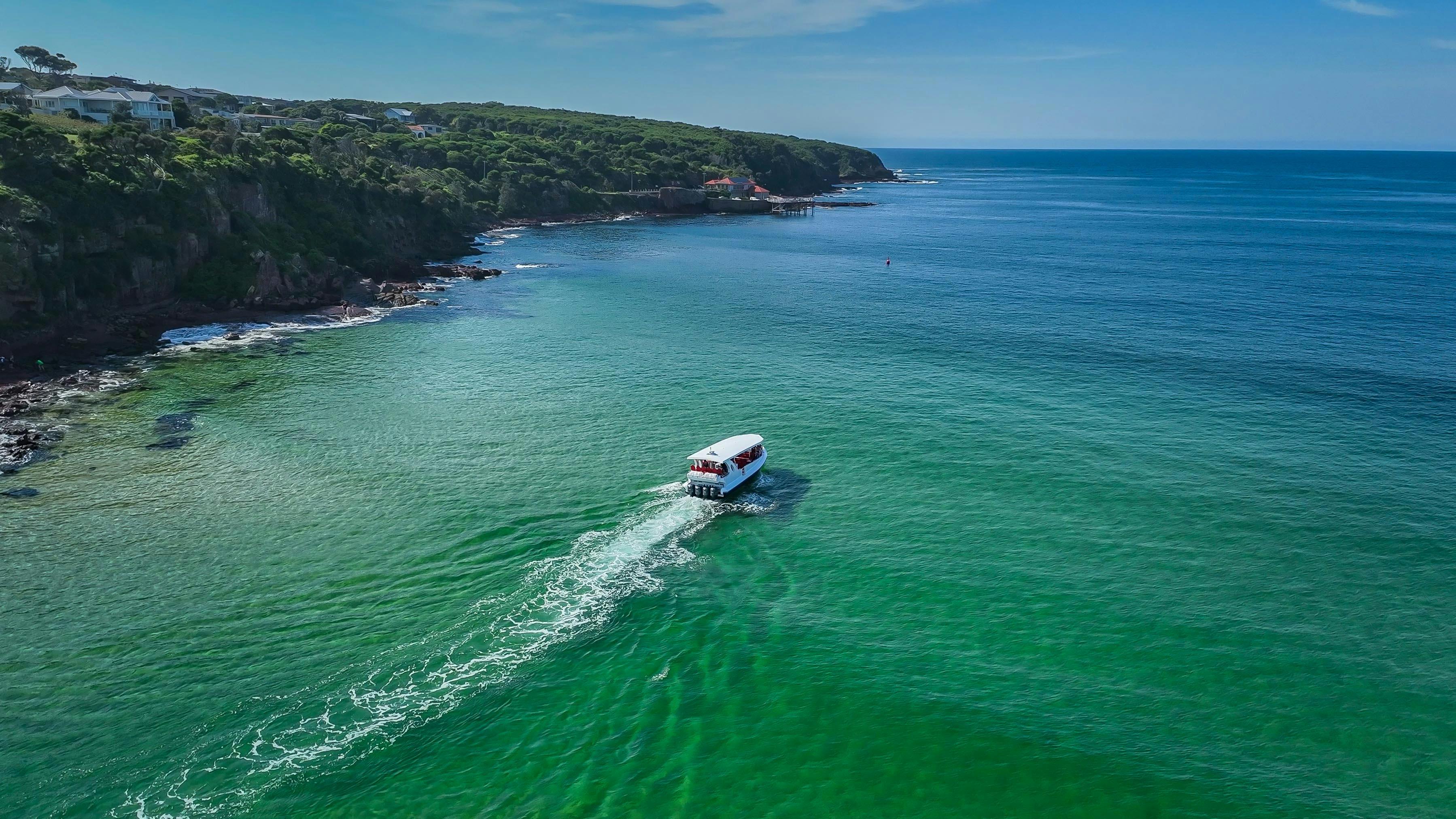 Sensational II heading out of Merimbula