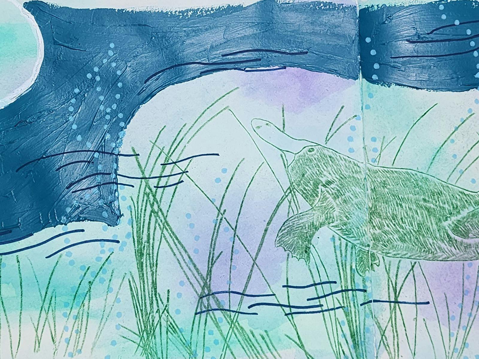 A mixed media artwork of a platypus using watercolours, oil pastels and acrylics