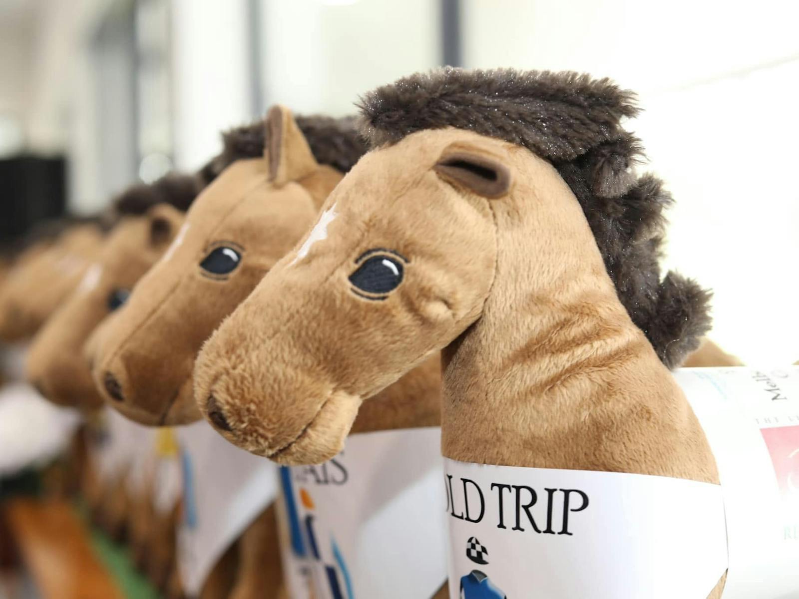 Giddy Up!