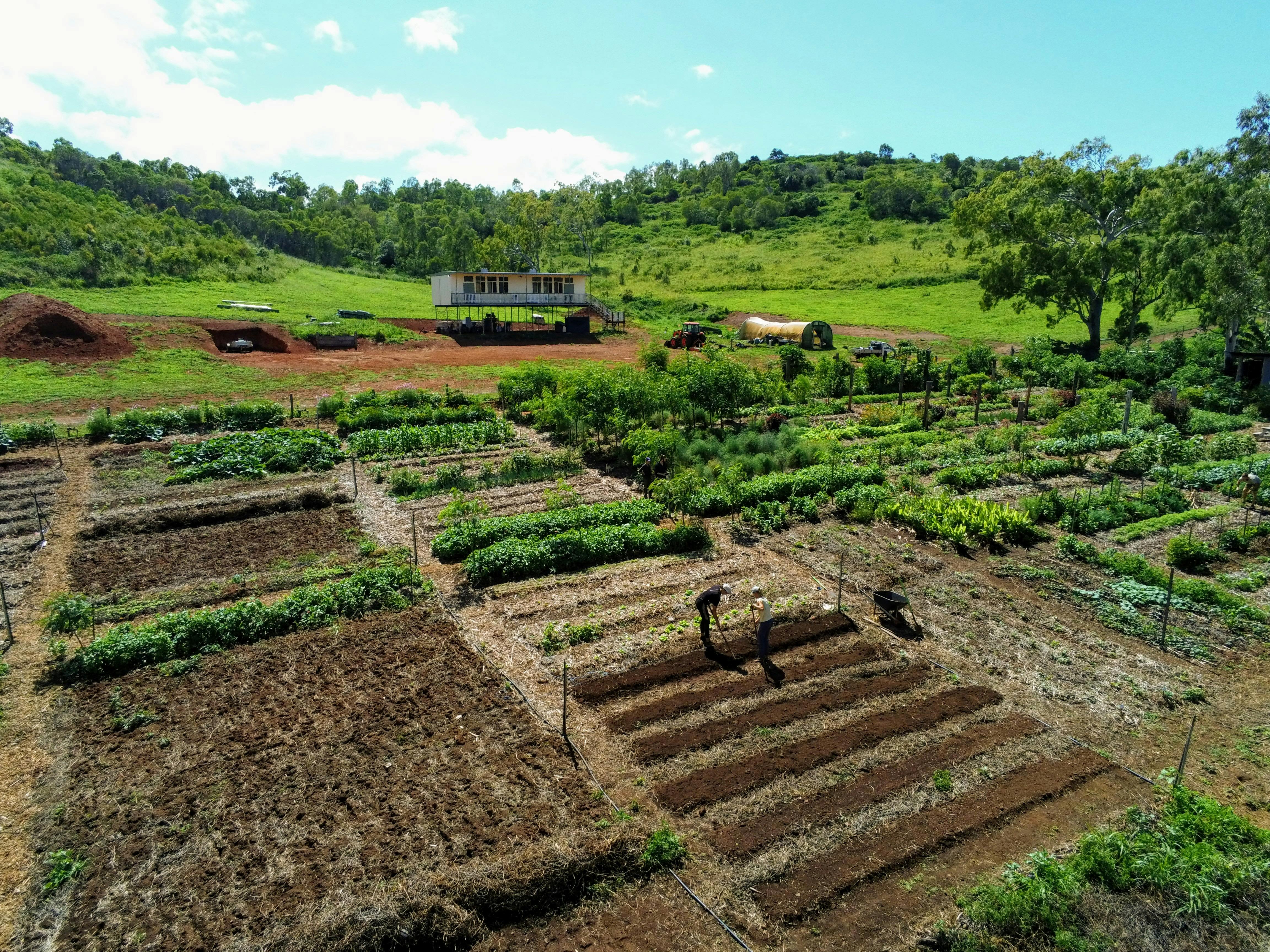 High Valley Dawn Permaculture Farm