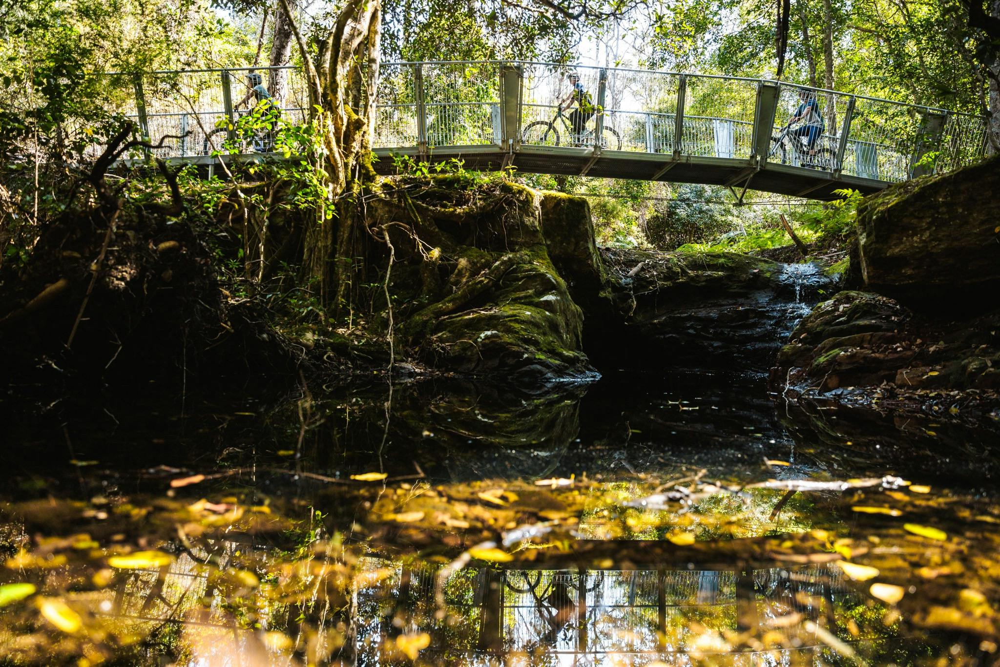 Gravity Eden Mountain Bike Park, Sapphire Coast NSW, mountain biking, MTB trails, South Coast