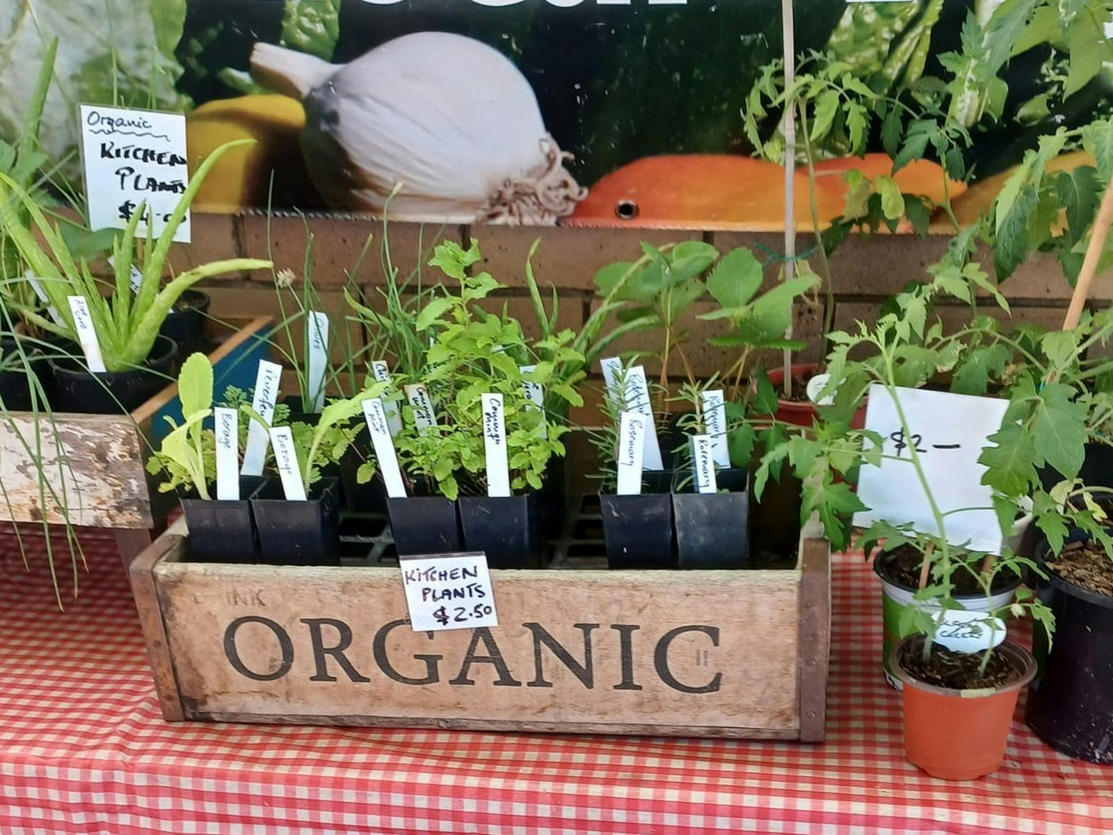 Dungog Growers Stall