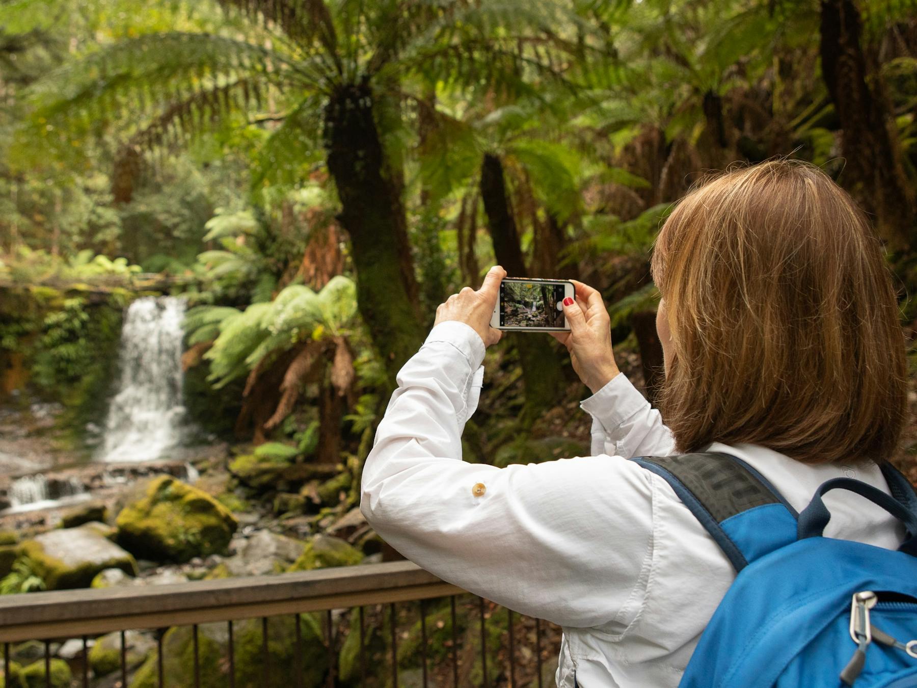 tourist taking a photo with a smartphone of a waterfalls nestled in the rainforest