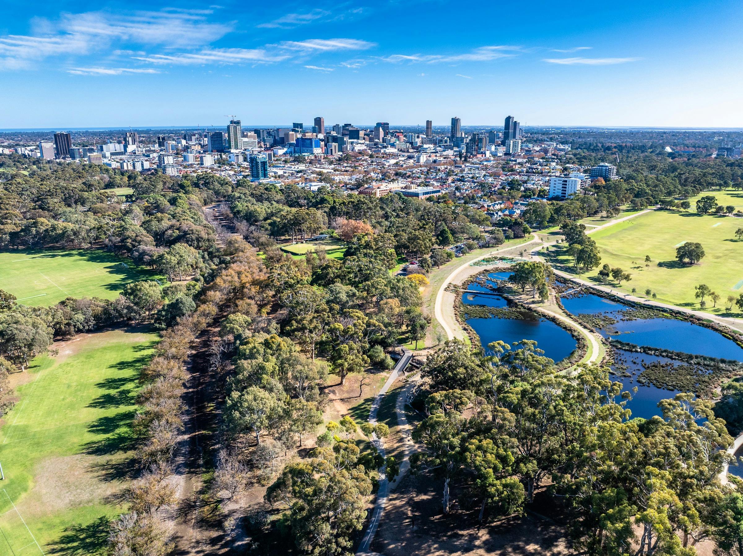 Carriageway Park - Tuthangga (Park 17) - Historic Elm Carriageway