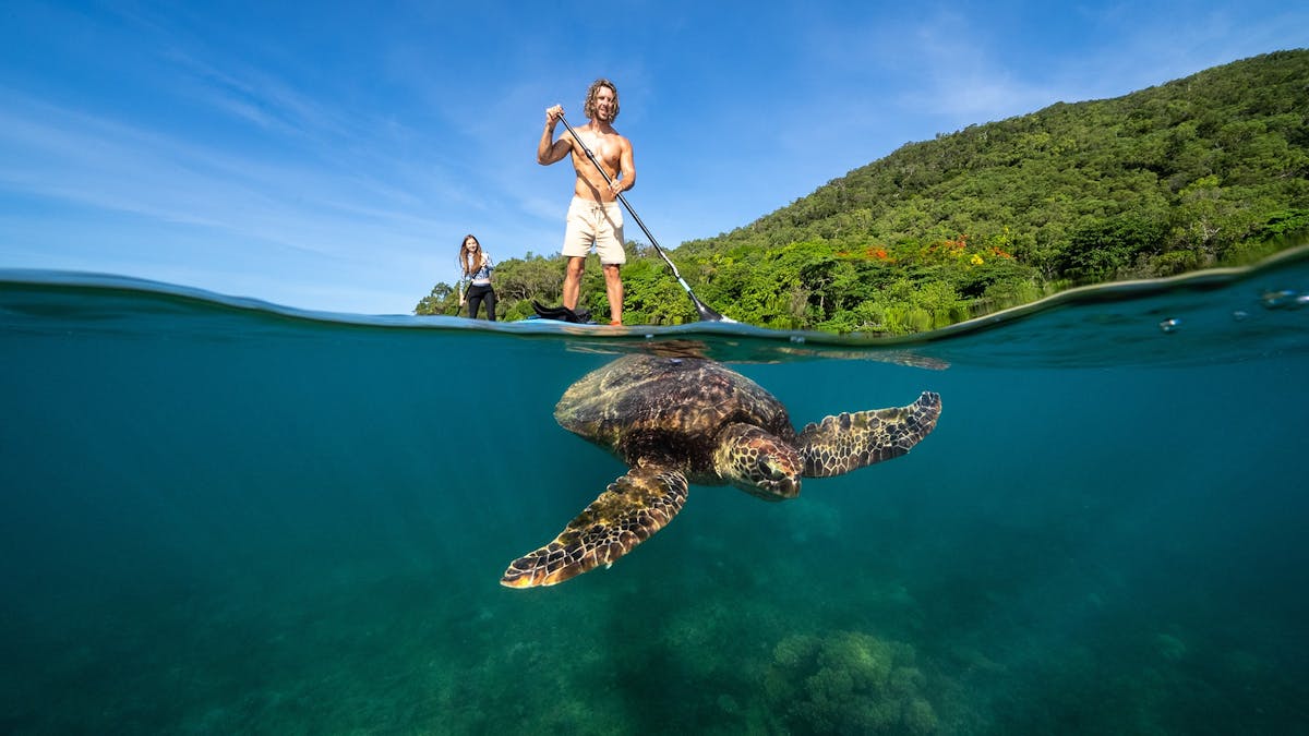 Fitzroy Island, Cairns, Tropical North Queensland, Australia