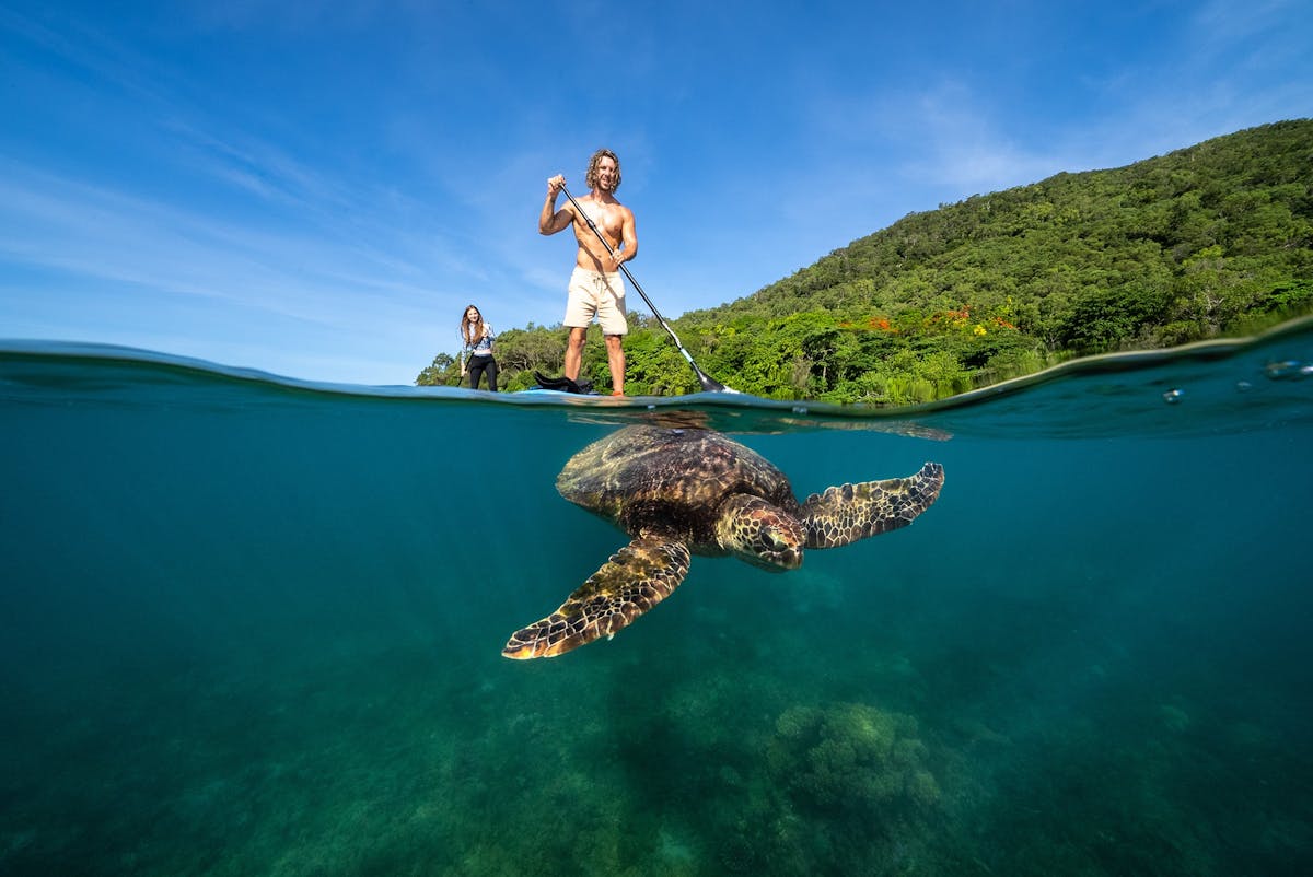 Fitzroy Island, Cairns, Tropical North Queensland, Australia