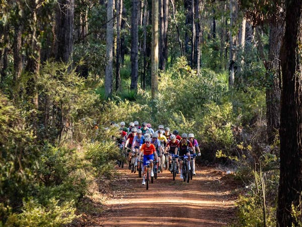 C-Wise Dwellingup 100