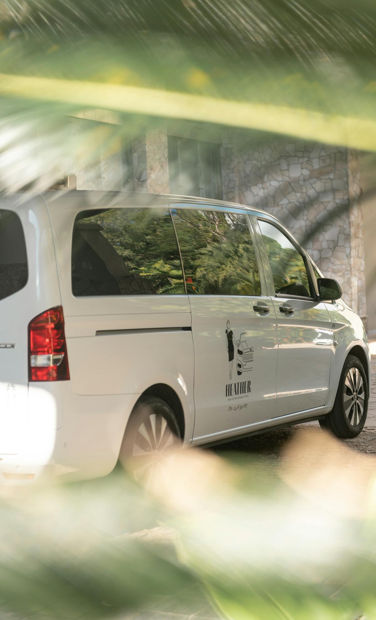 Personalised tours of Cape Tribulation, Atherton Tablelands, Waterfalls, Paronella Park, Babinda