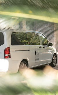 Personalised tours of Cape Tribulation, Atherton Tablelands, Waterfalls, Paronella Park, Babinda