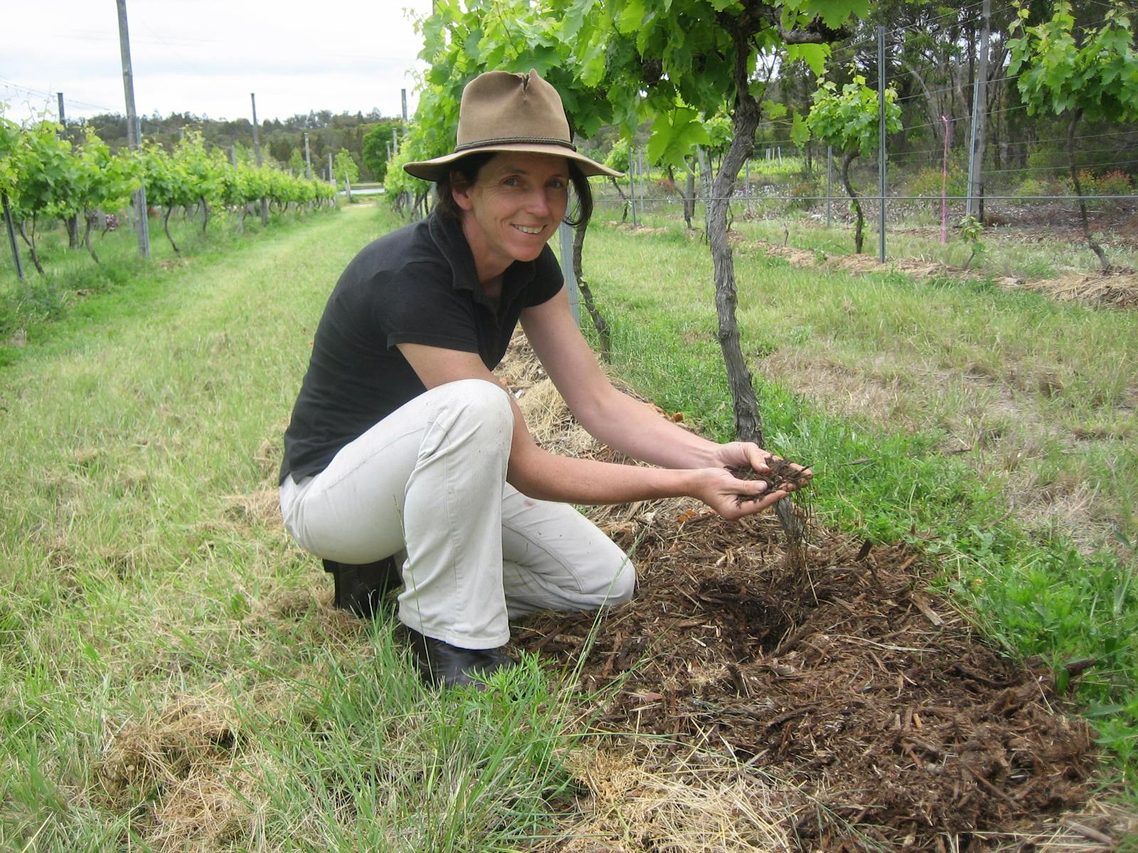 Twisted Gum Wines