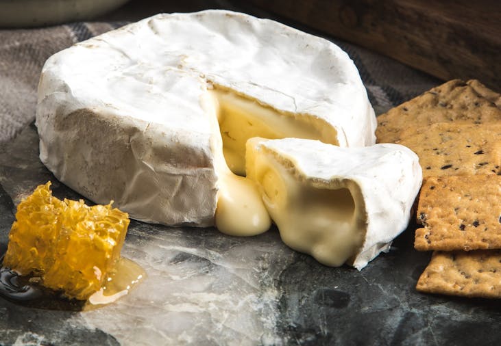Gather Graze by CheeseFest