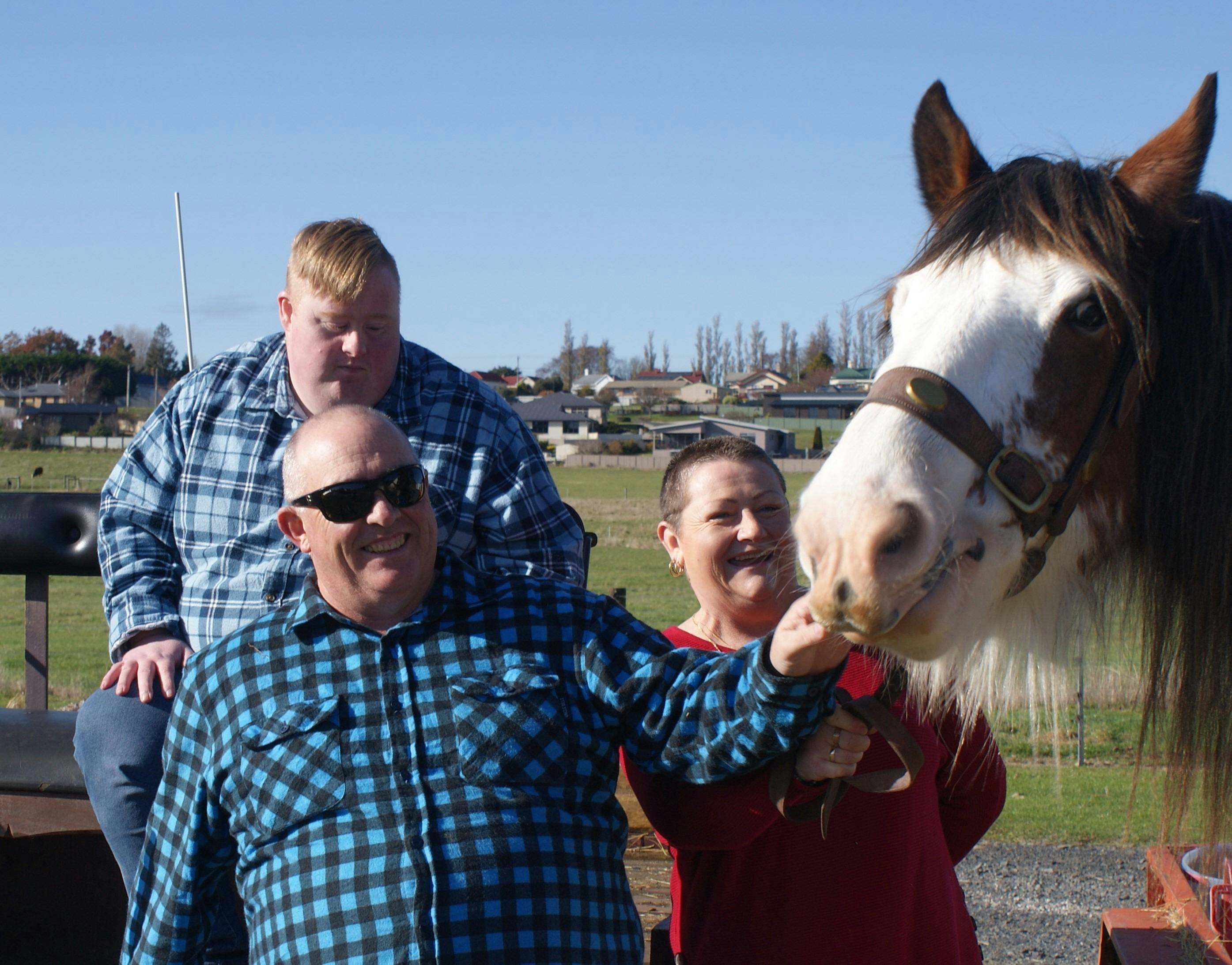 Almost Heaven Clydesdales Inspirational Farmyard Friends
