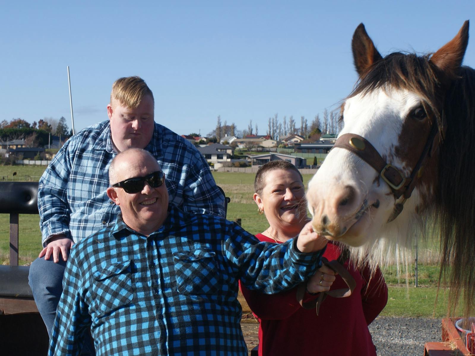A family of three cuddling Bonnie the big quiet Clydesdale.