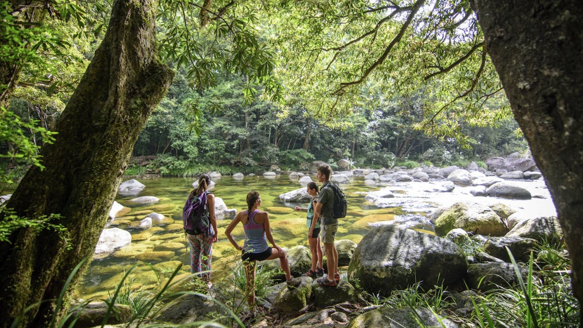 Daintree National Park