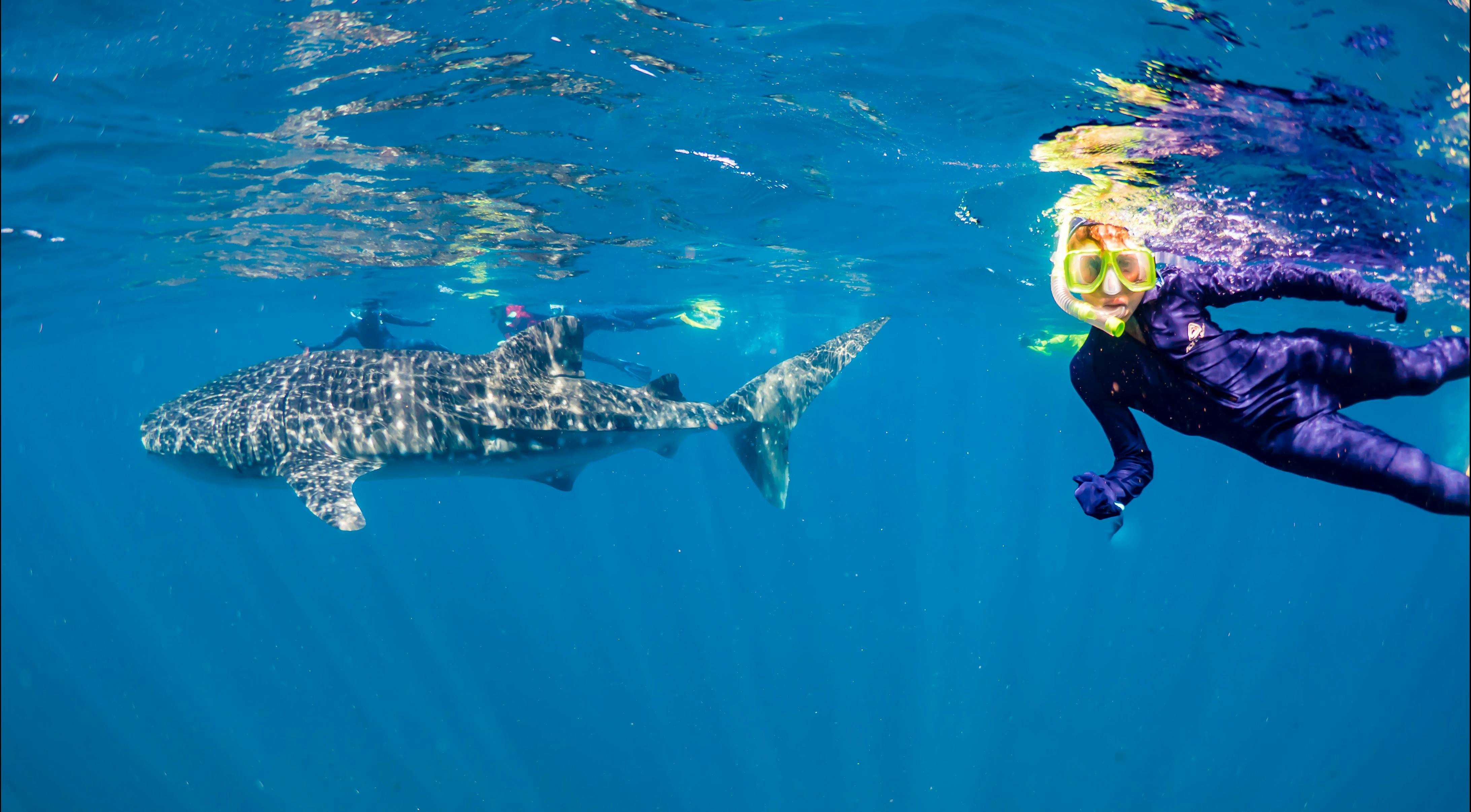 Ocean Eco Adventures, Exmouth, Western Austalia