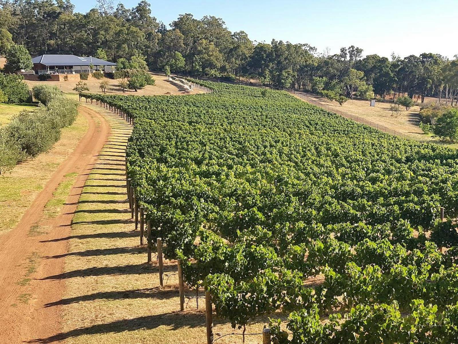 Tonon Vineyard and Winery