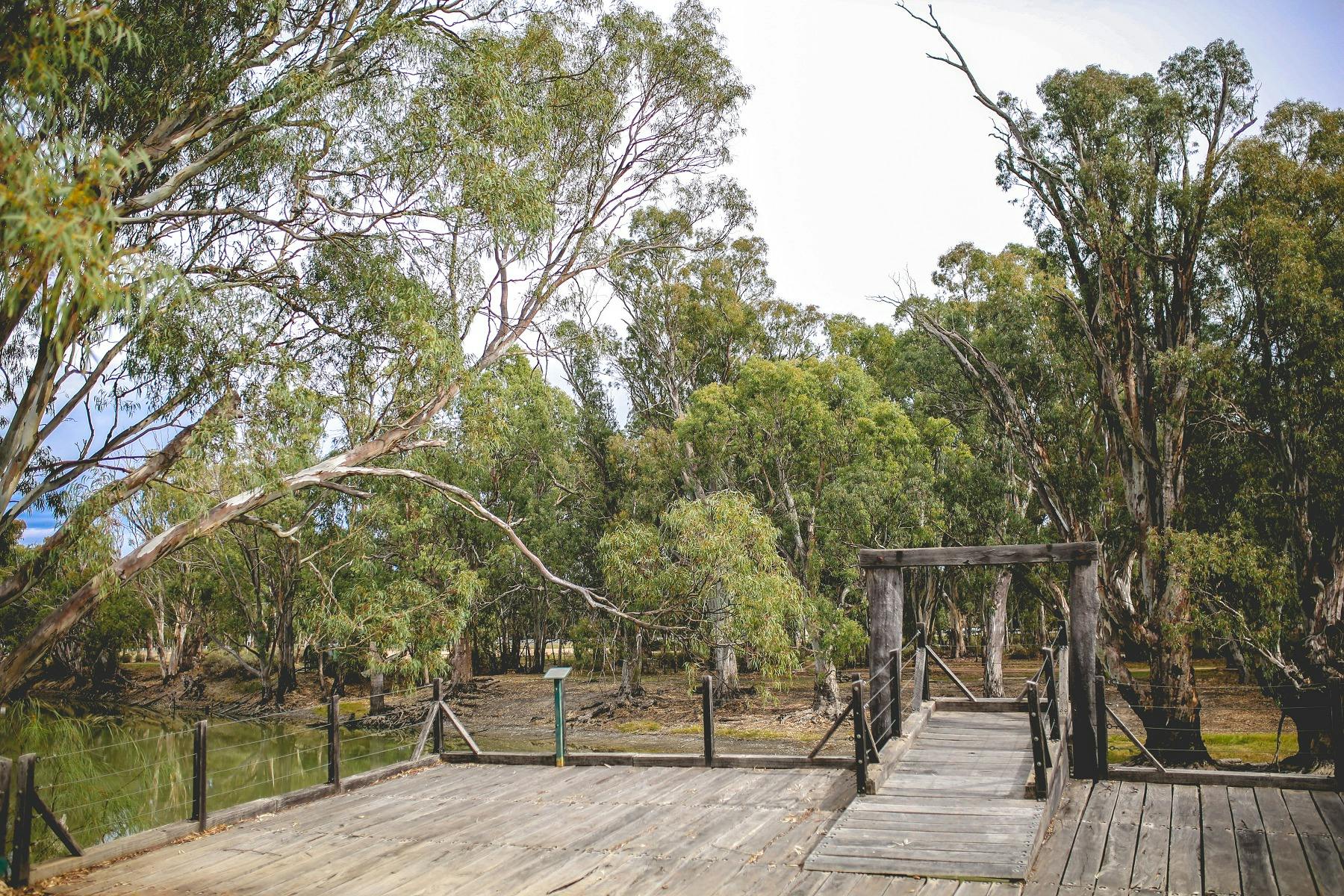Wooden wharf overlooking body of water