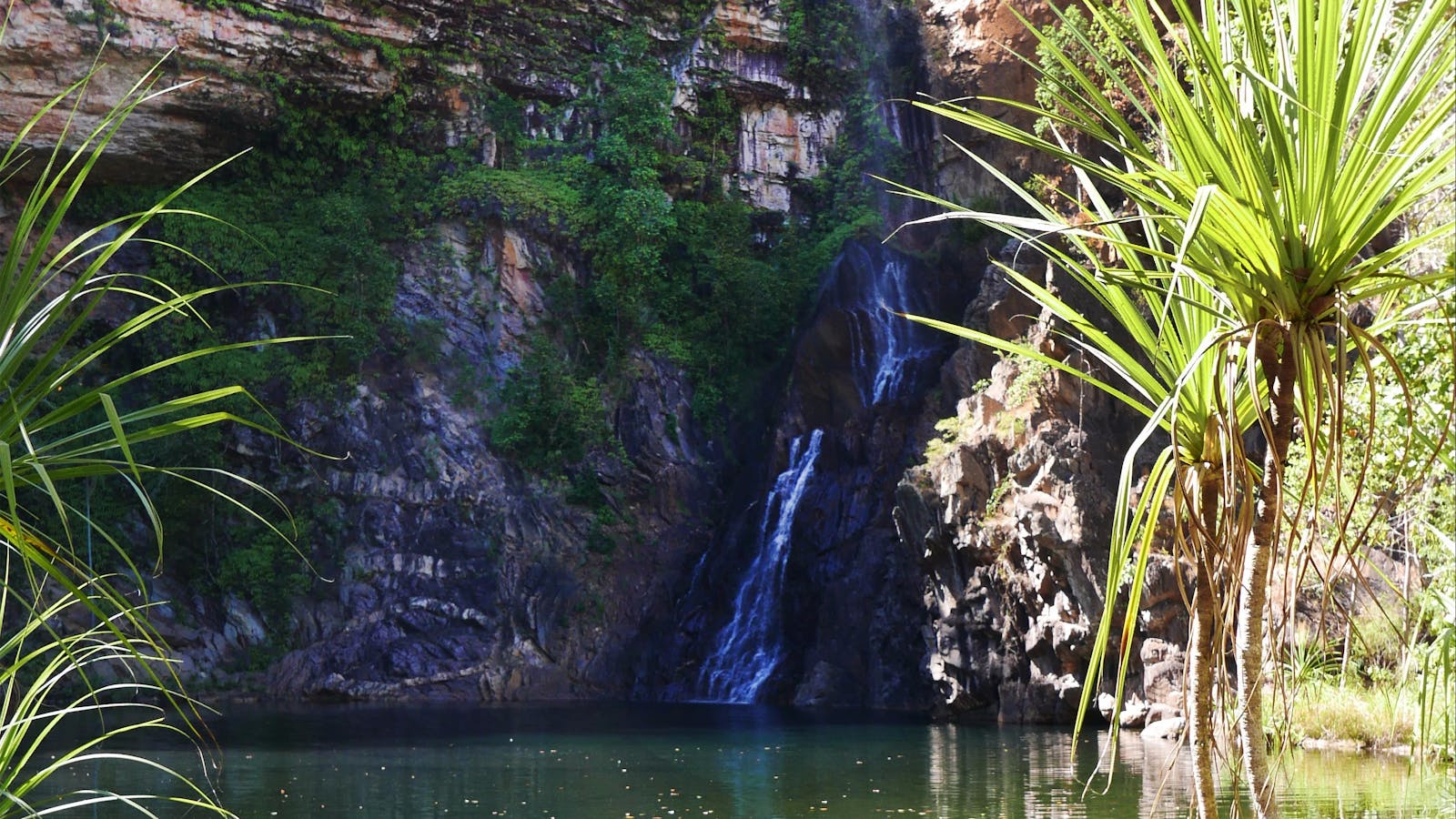 Tjaynera Falls (Sandy Creek)