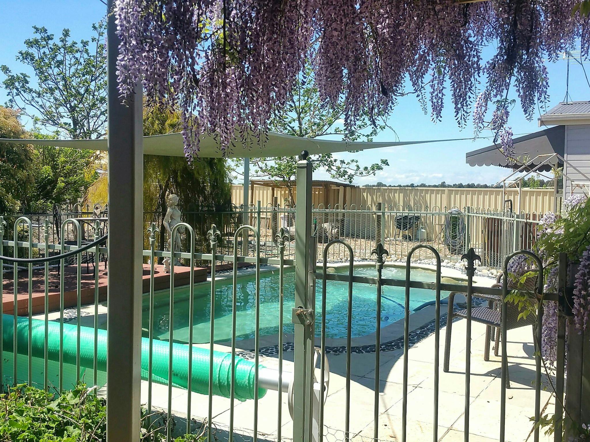 Swimming Pool at Must Love Dogs B&B