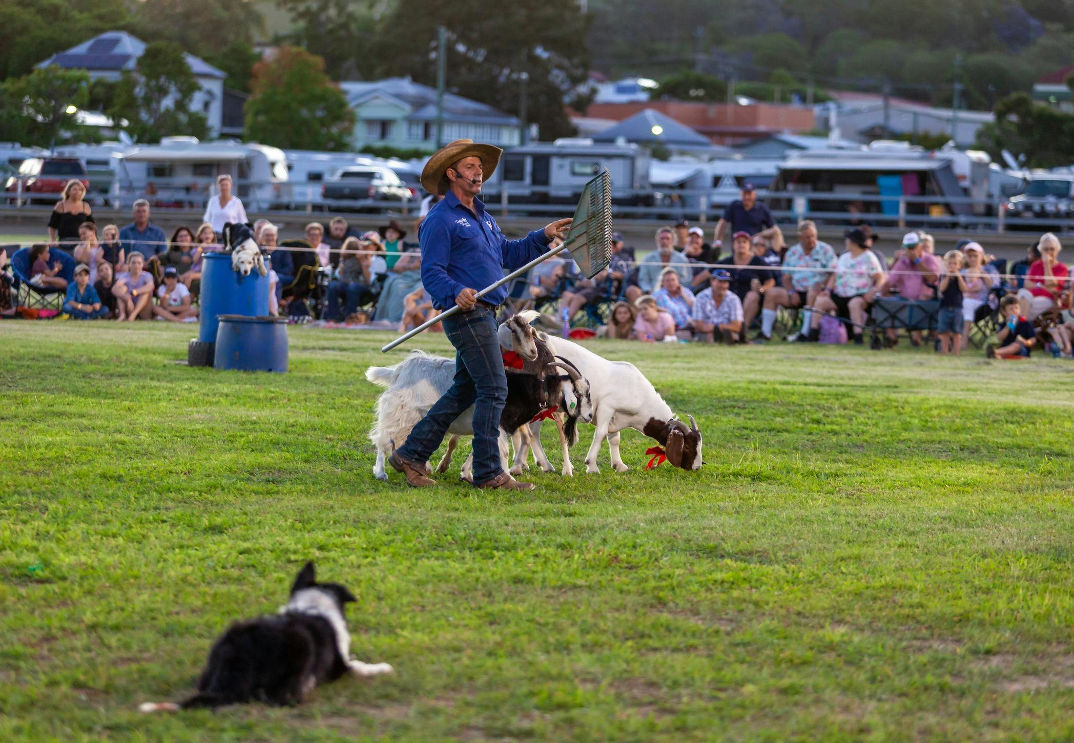 Tom Curtain's Here's to You Tour - The Rock