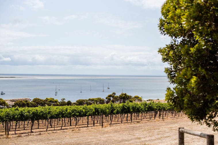 Bay of Shoals Wines