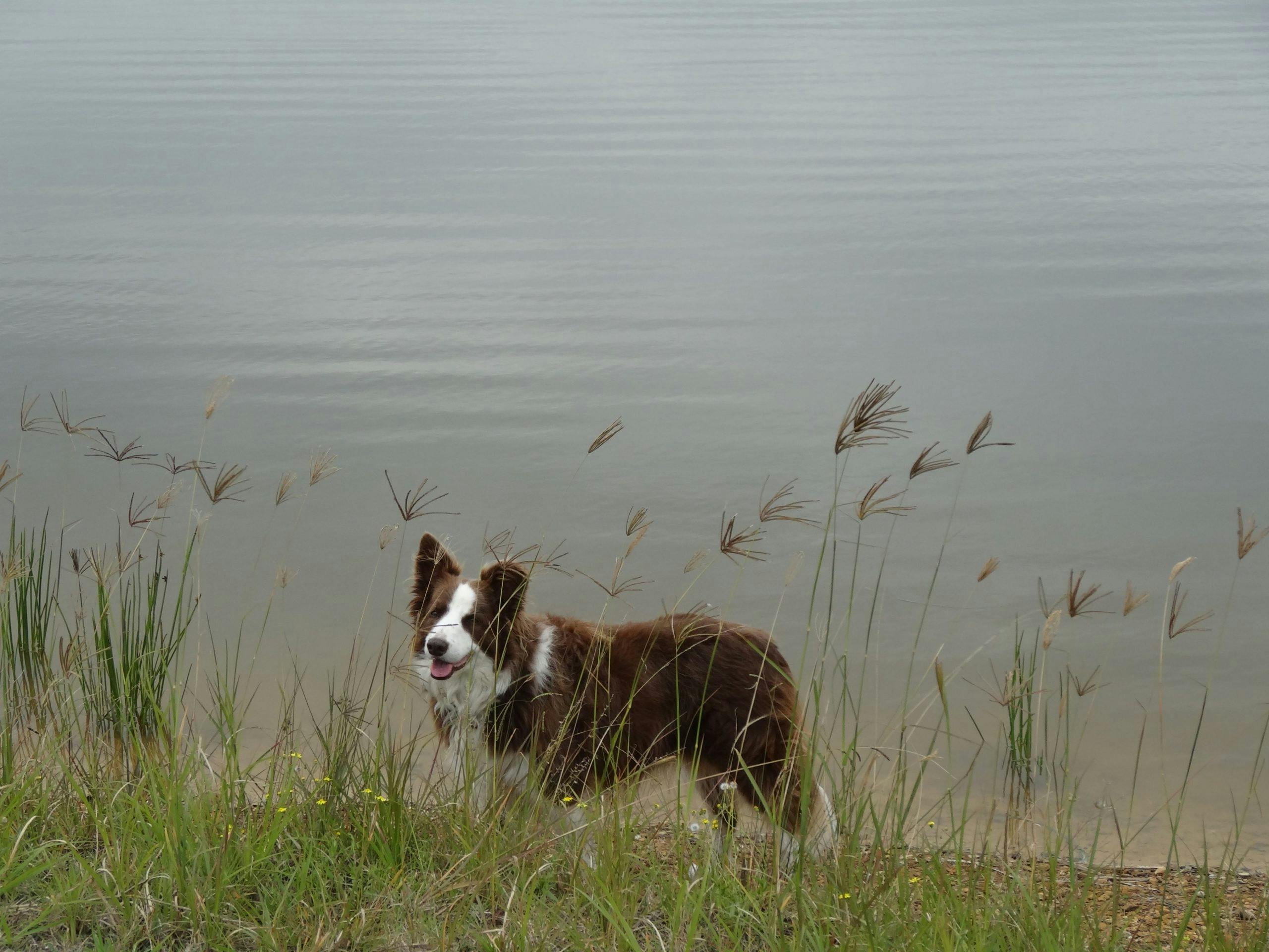 Wirral Grange Vineyard & Cottage