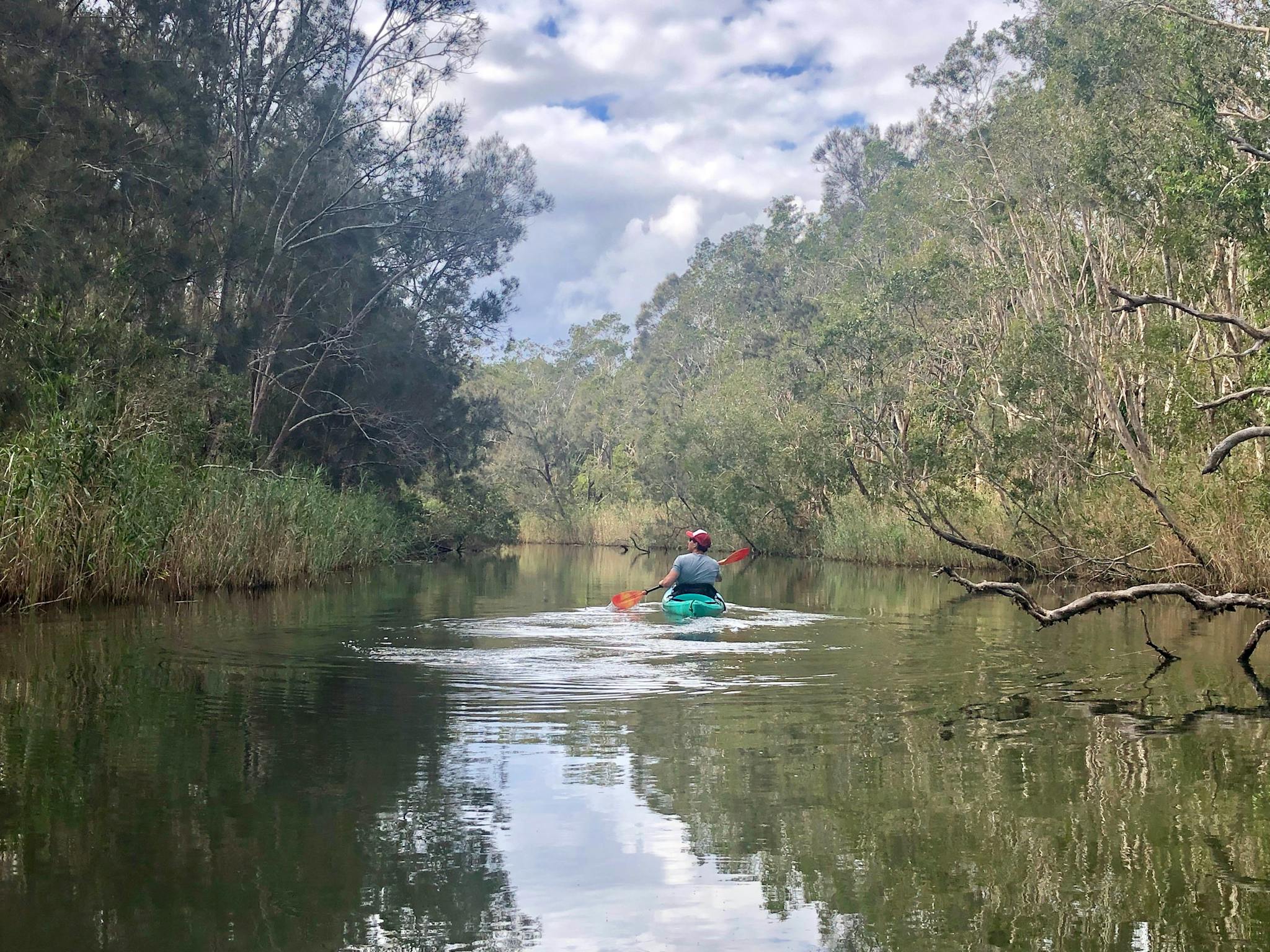 Kayak