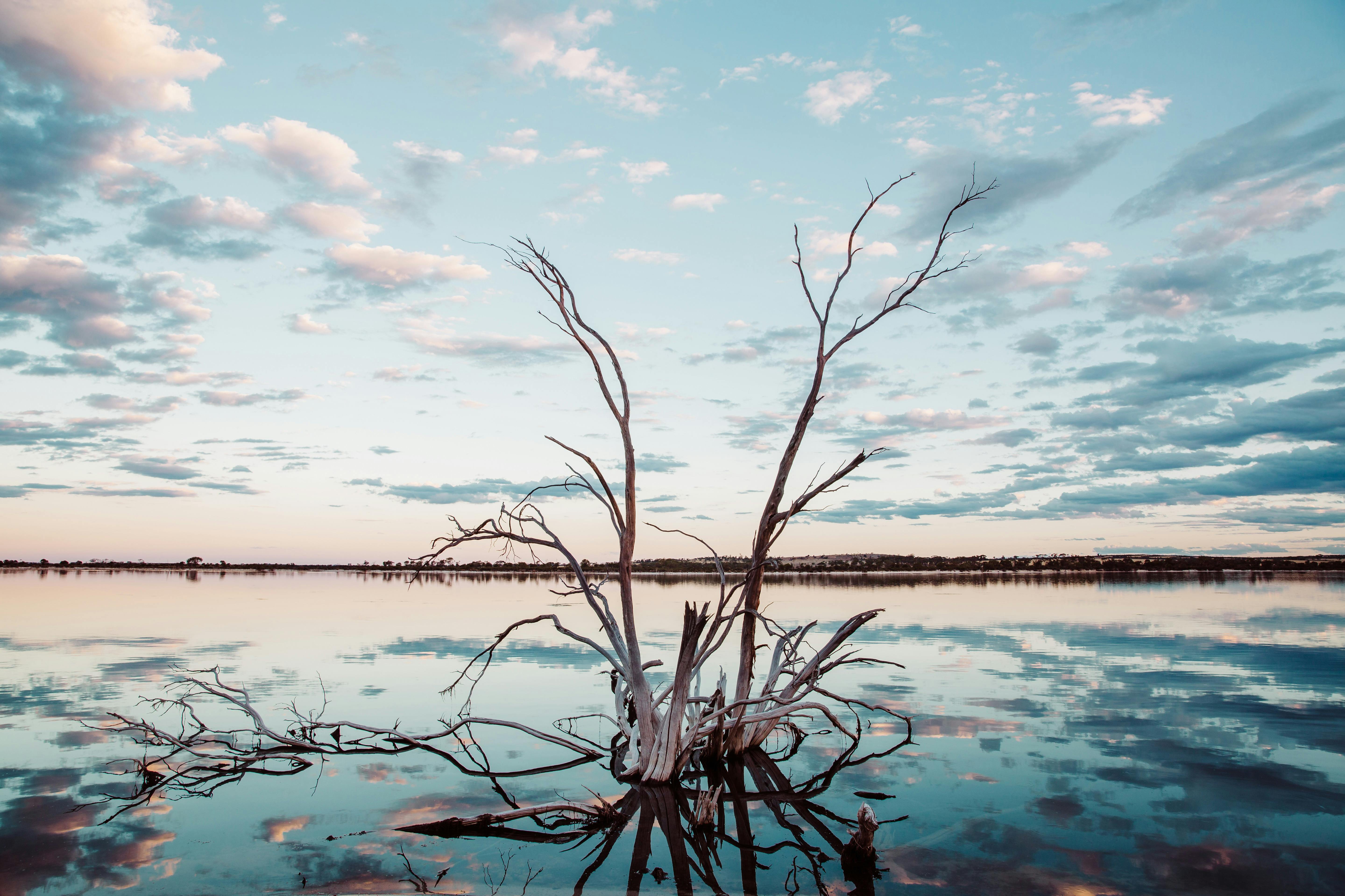 Yenyening Lake Reserve