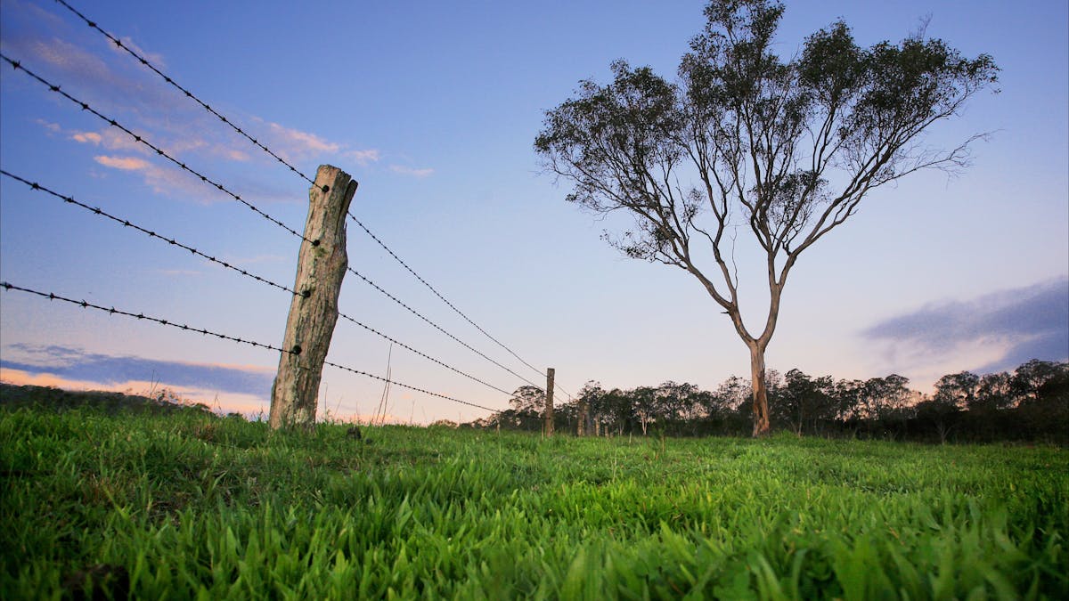 Field, Toowoomba