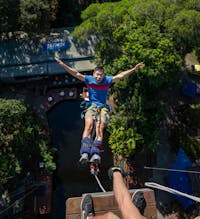 Backdive Bungy Jump