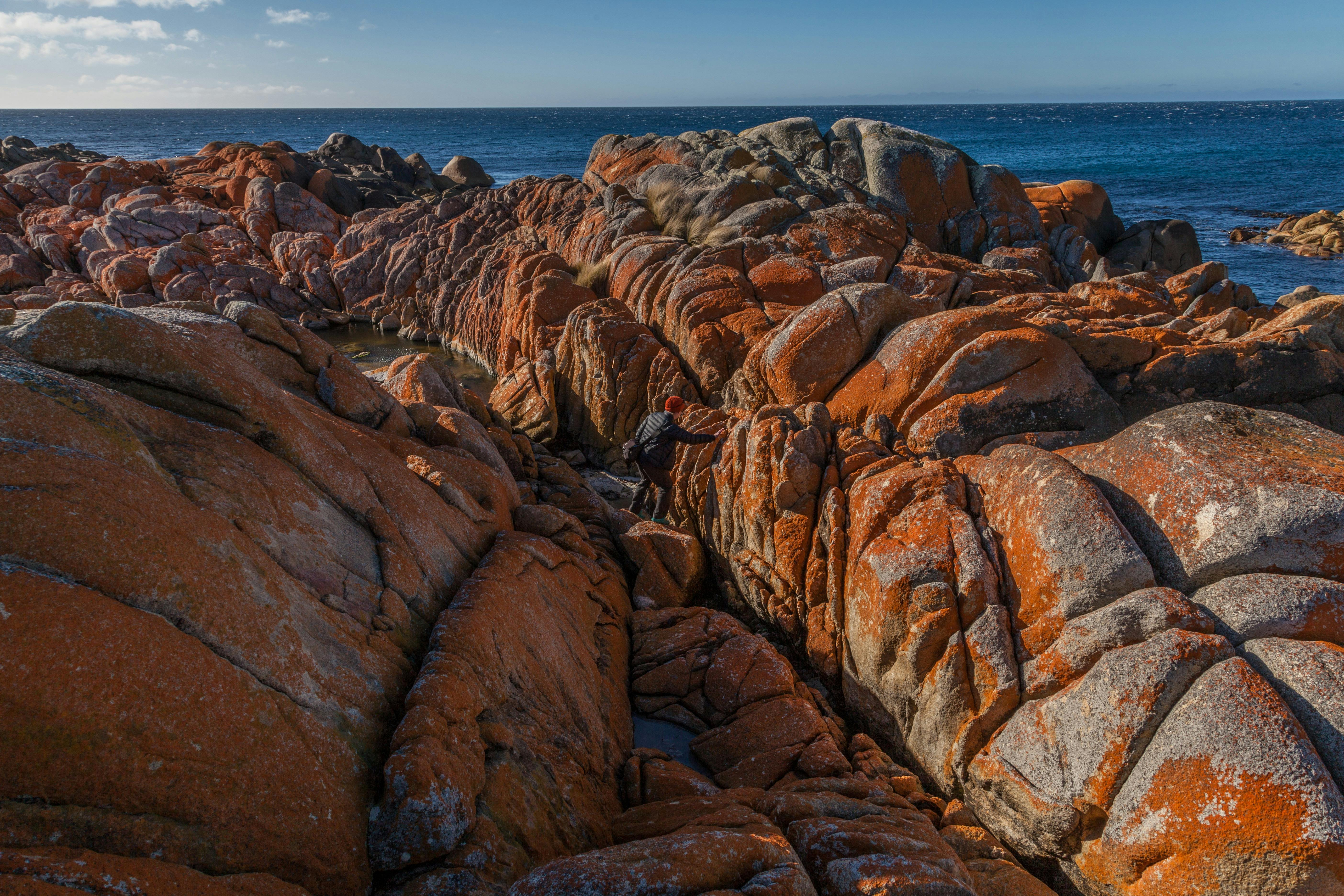 Bay of Fires Camping