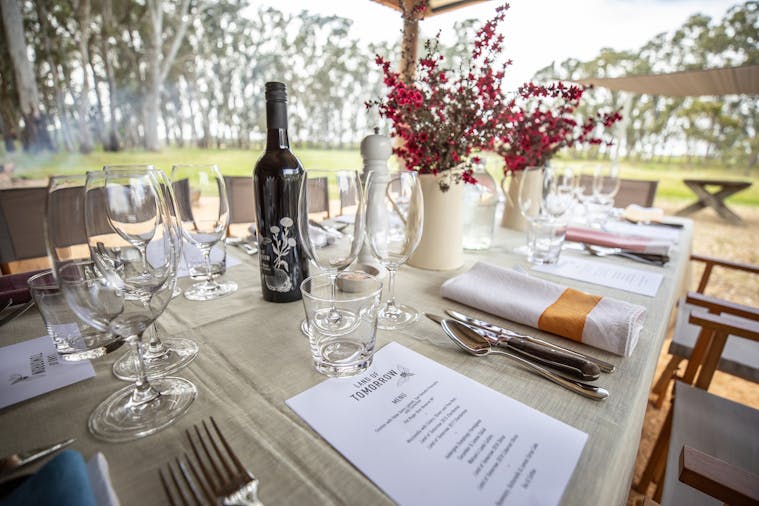 A Stones Throw Flying to Land of Tomorrow with Coonawarra Experiences