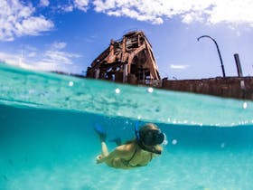 Tangalooma Wrecks Snorkel