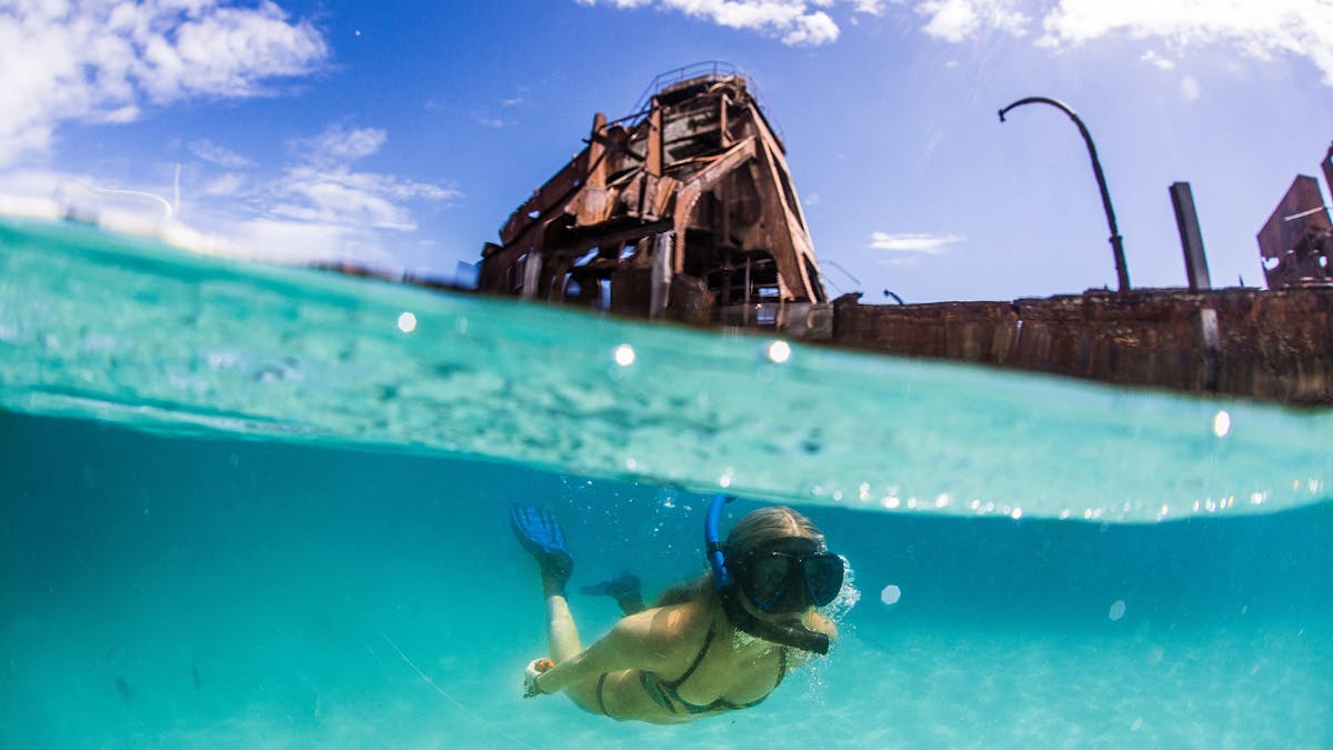Tangalooma Wrecks Snorkel