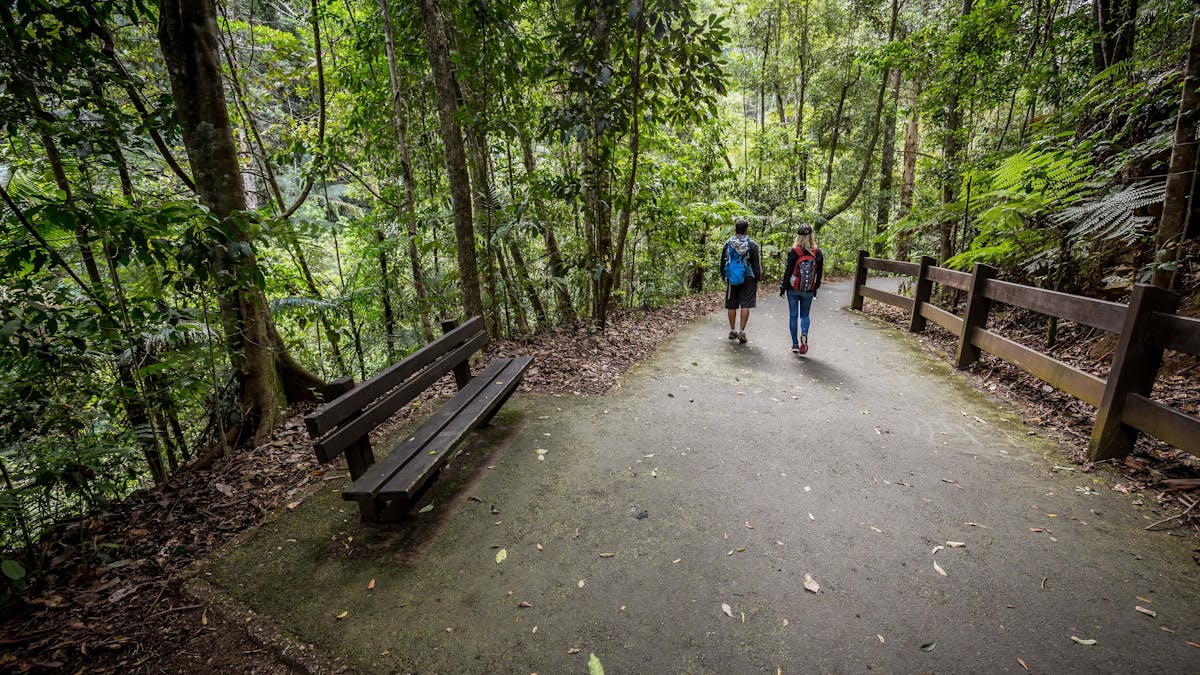Two people walking away from the camera along a bitumen path through rainforest.