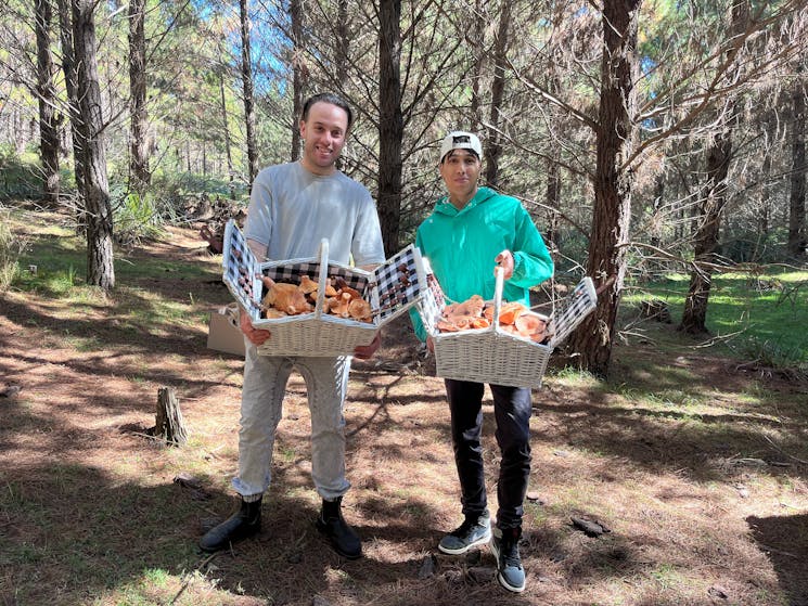two oung men with basketfull of orange wild mushrooms