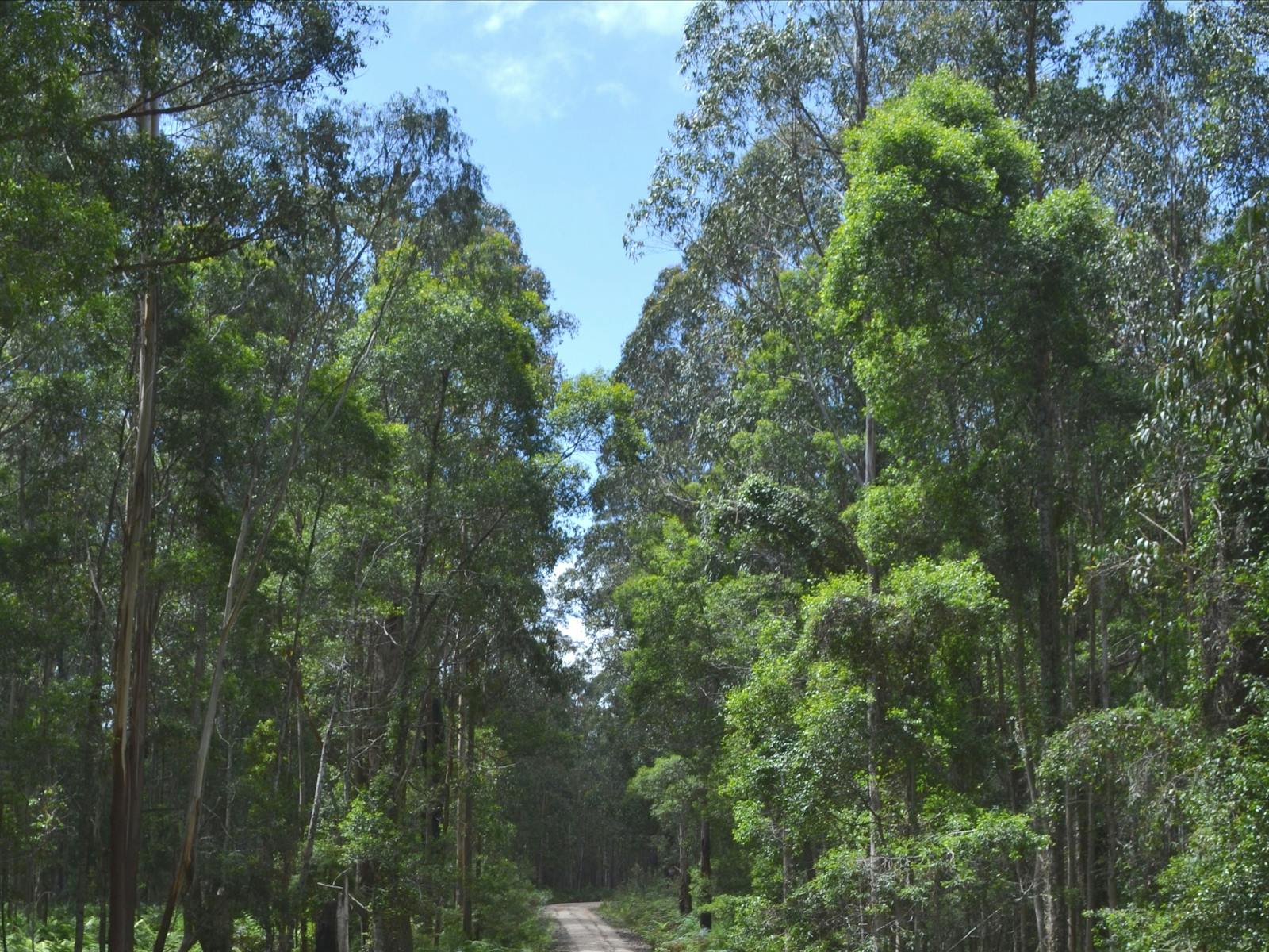 Alfred National Park