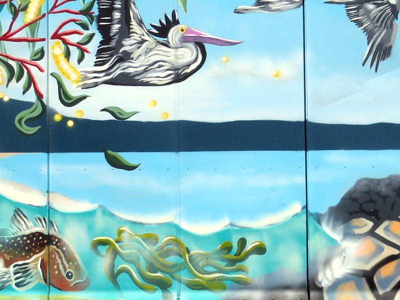 Pelican (detail)